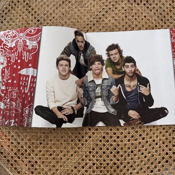 2014 HARRY STYLES 1d One Direction "Where We Are" Concert Tour Program - Picture 2 of 5